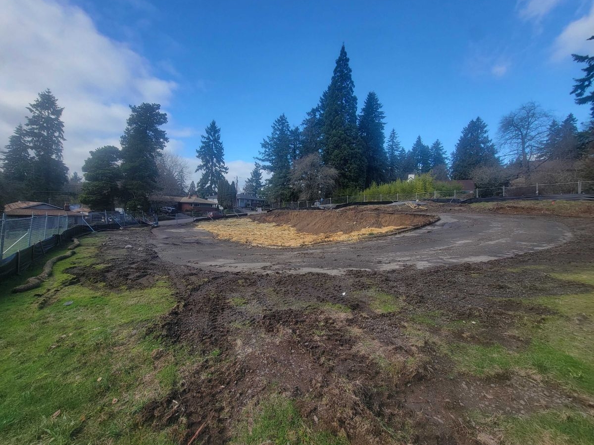 Clearing and grading Jan 2023