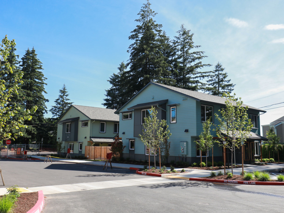 Homes painted green and blue with new landscaping