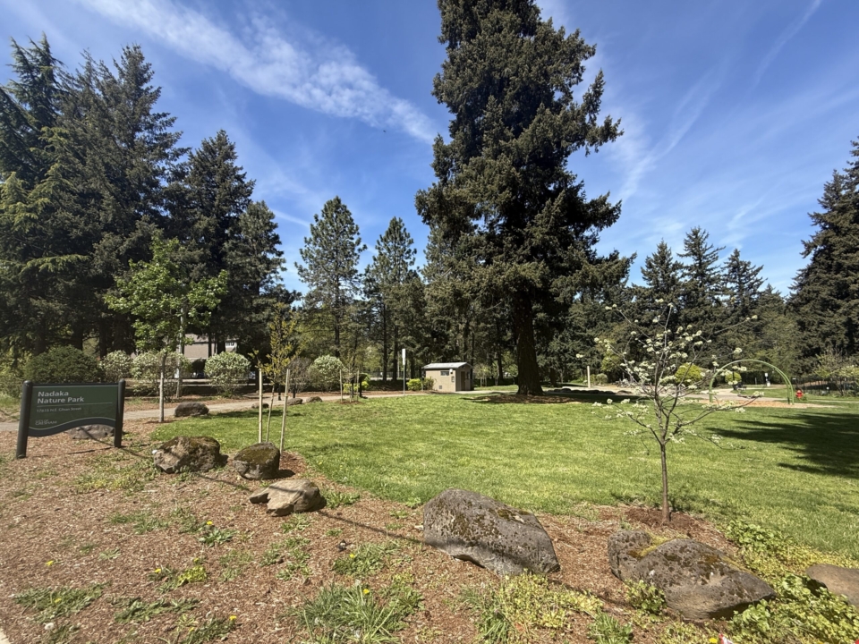Nadaka Park MWD 0418 2026