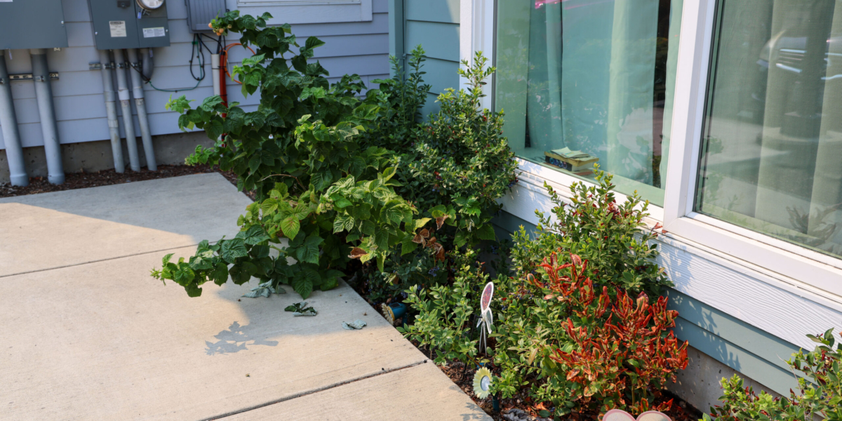 2026_0813__Ken homeowner_34_1