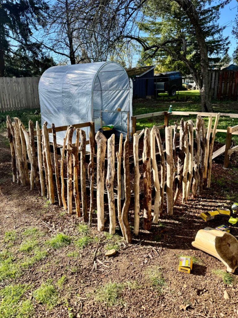 A fence made of driftwood around a backyard garden bed, in process of being built.